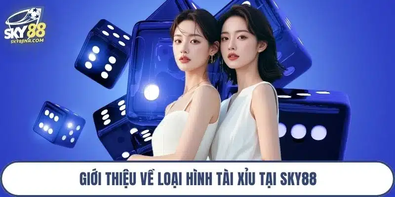 Giới thiệu về loại hình tài xỉu tại Sky88